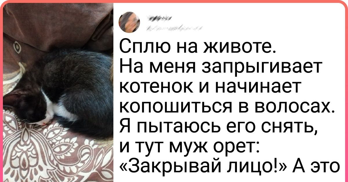 17 пернатых и пушистых наглецов, которые решили показать людям, кто тут настоящий босс