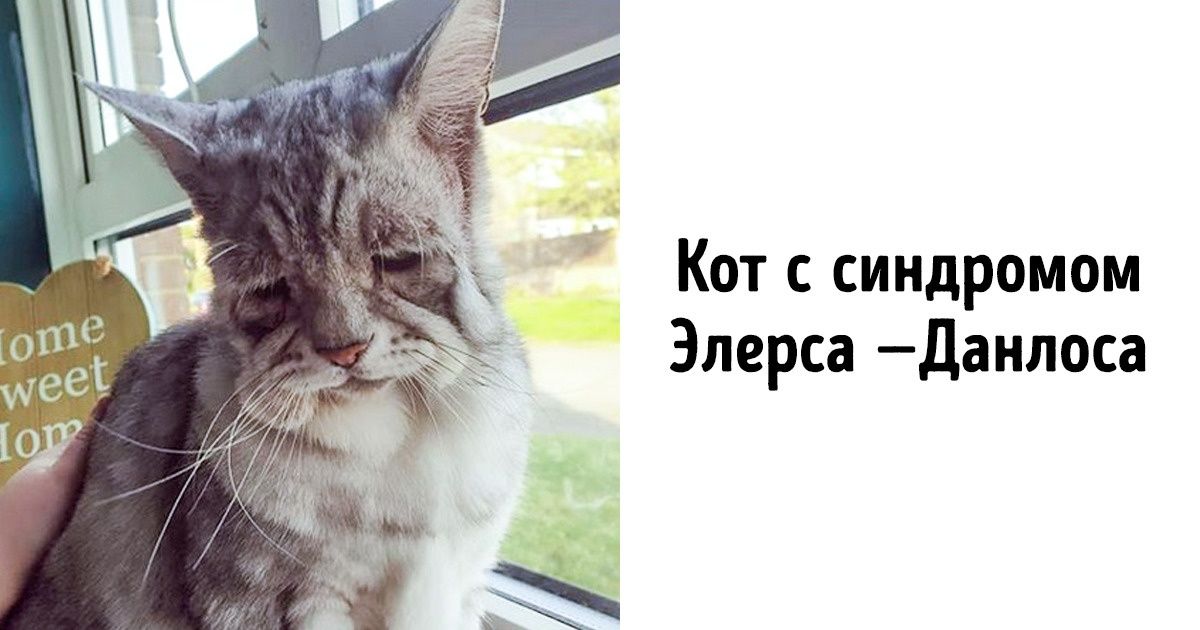 10 редких фото, без которых ваше представление о мире будет неполным 10 редких фото, без которых ваше представление о мире будет неполным