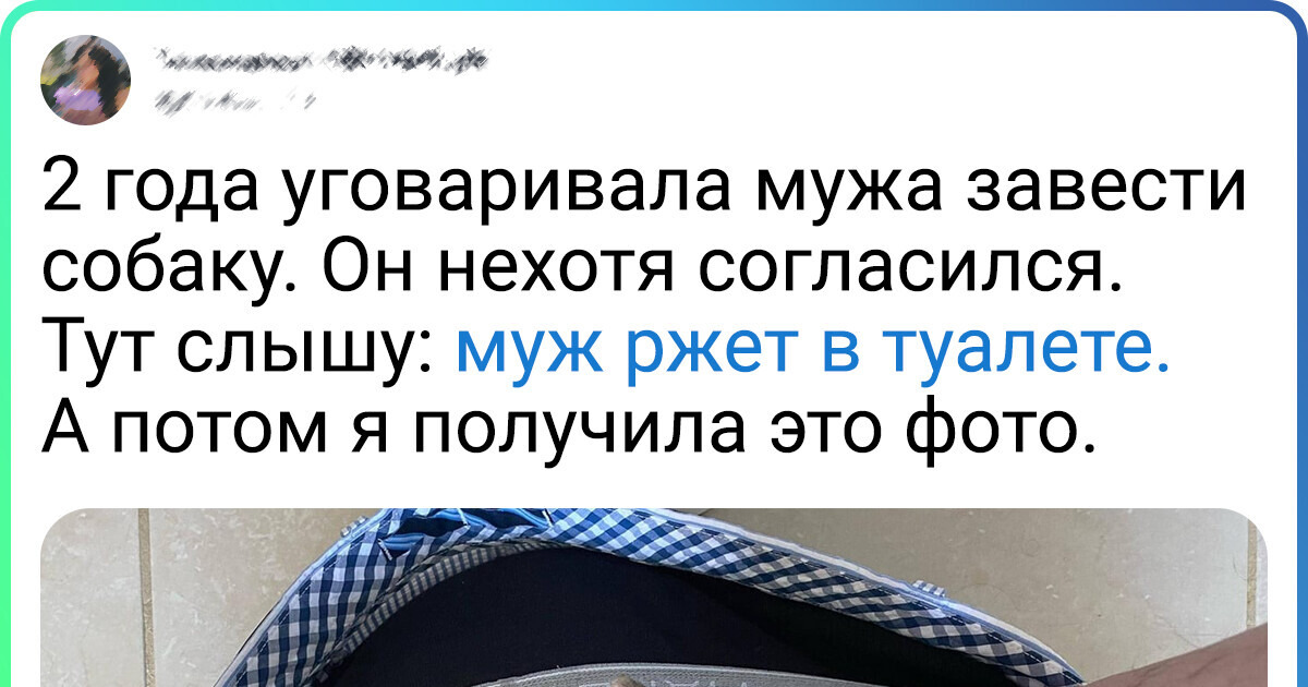 27 человек, которые не хотели заводить питомцев, а в итоге стали их преданными друзьями 27 человек, которые не хотели заводить питомцев, а в итоге стали их преданными друзьями