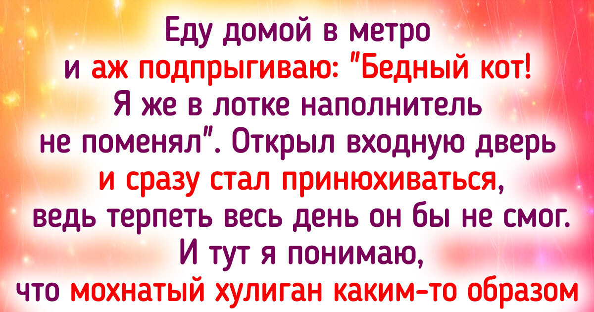 15+ пушистых умников, у которых смекалка работает на твердую пятерку