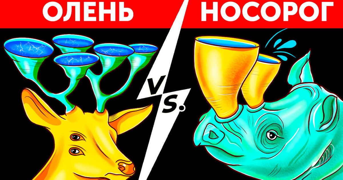 Как будут выглядеть животные на Земле через миллион лет Как будут выглядеть животные на Земле через миллион лет