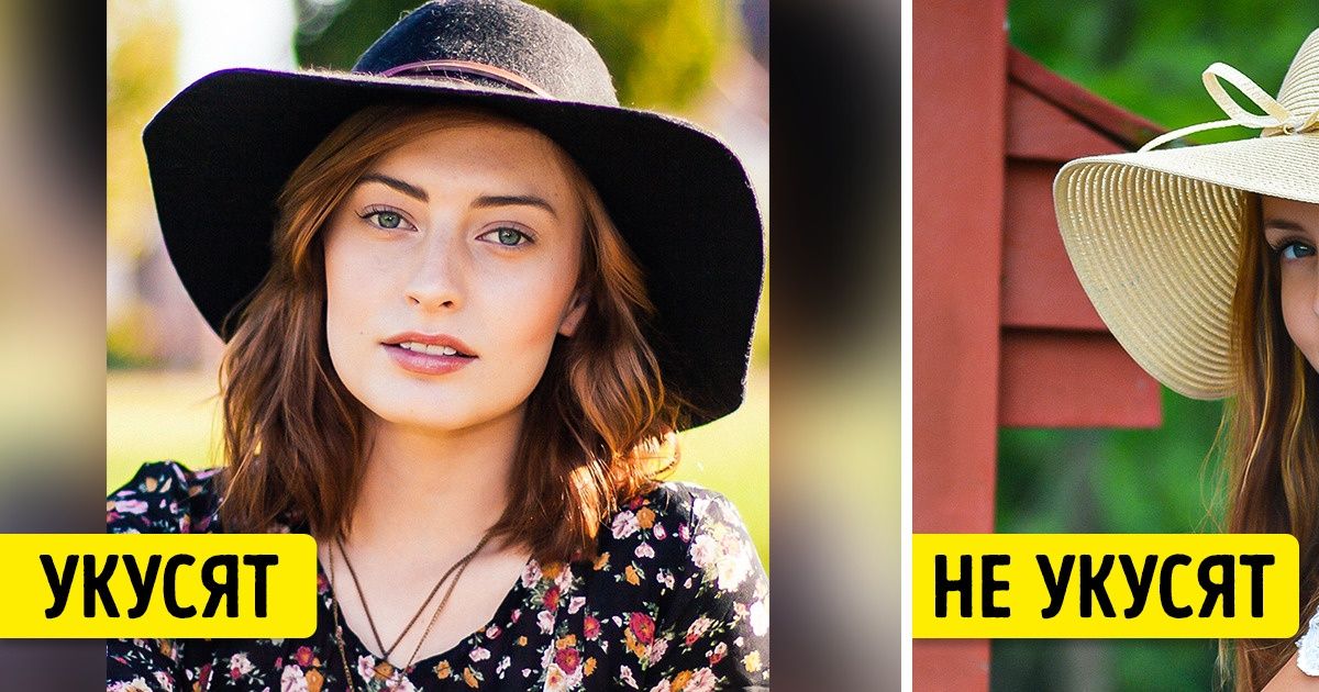 7 типов людей, которых просто обожают комары