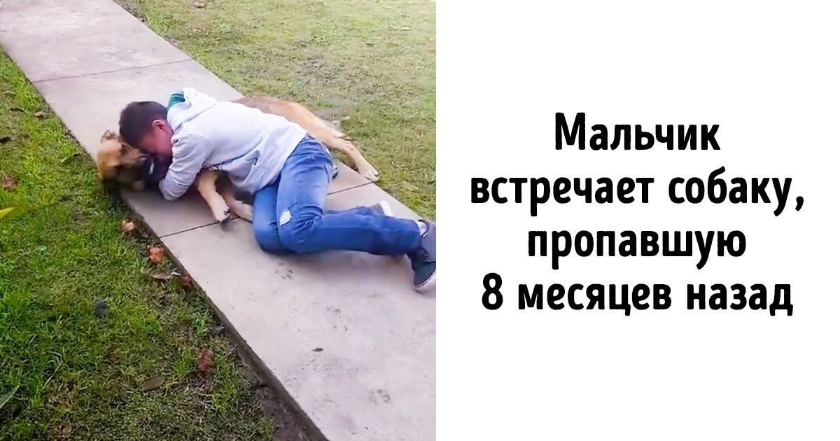 20+ эмоциональных фото, от которых расчувствуются даже прожженные циники 20+ эмоциональных фото, от которых расчувствуются даже прожженные циники
