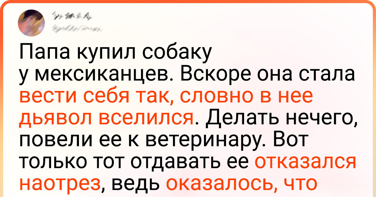 20 твитов о людях, которые внезапно осознали, что живут в анекдоте 20 твитов о людях, которые внезапно осознали, что живут в анекдоте