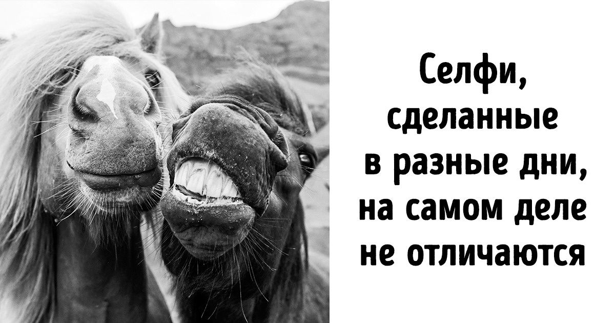 14 инструкций, которые забыли выдать пользователям инстаграма