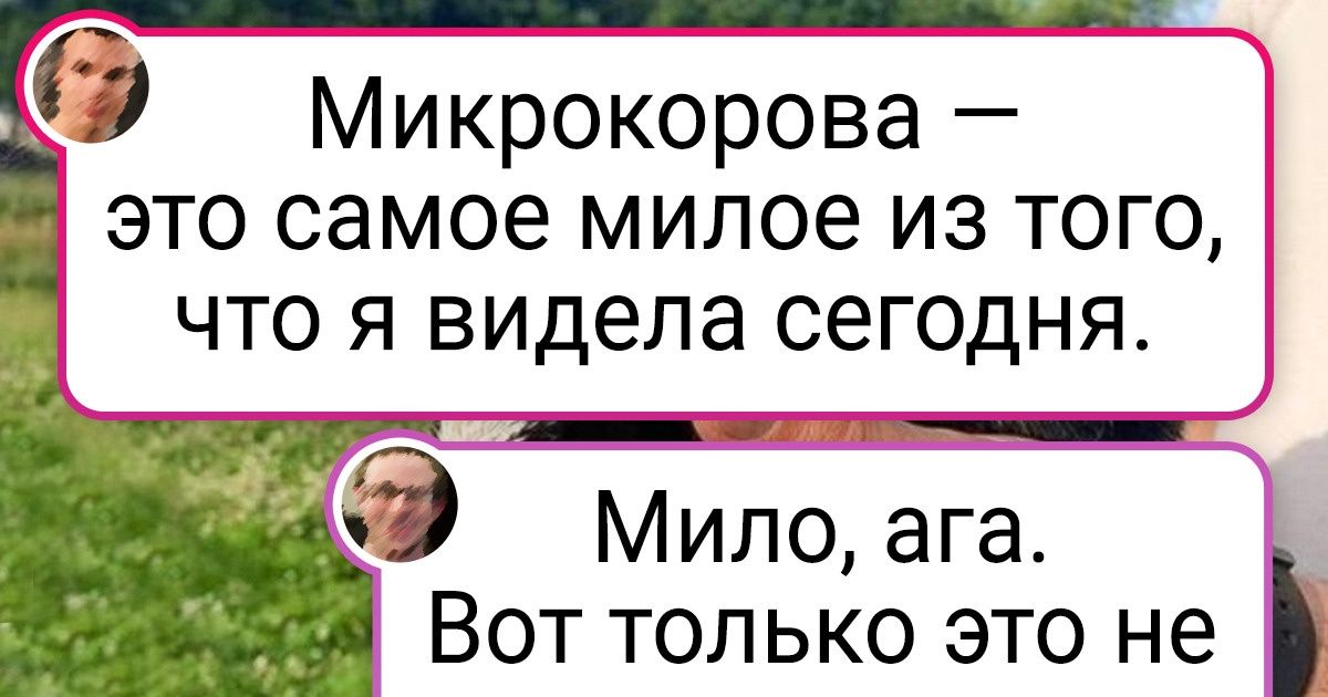 20 неоспоримых доказательств того, что ваших лайков достойны не только кошечки и собачки 20 неоспоримых доказательств того, что ваших лайков достойны не только кошечки и собачки