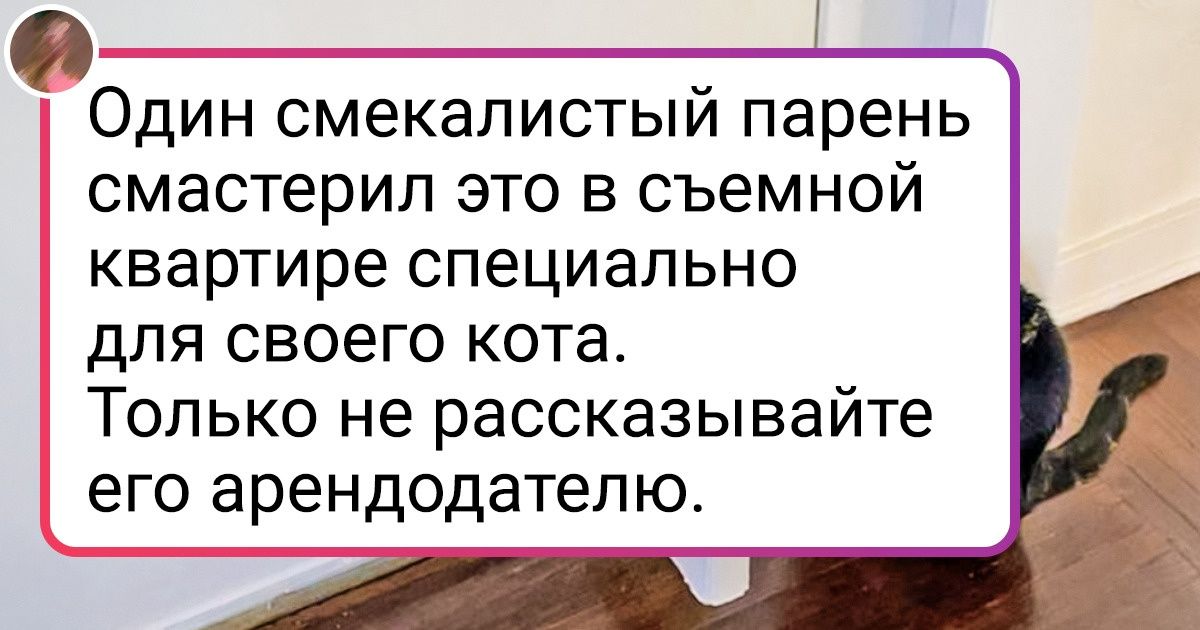 20+ человек, у которых любовь к питомцам огромна, как океан, а бюджет безграничен (ну почти) 20+ человек, у которых любовь к питомцам огромна, как океан, а бюджет безграничен (ну почти)