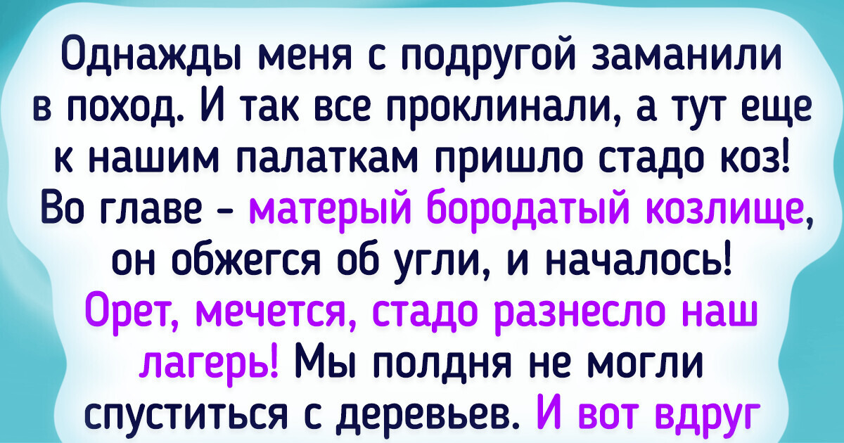 17 историй о людях, которые собрались отдохнуть на природе, но их поджидал сюрприз
