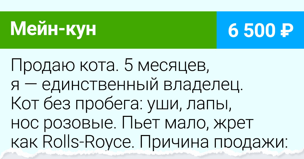 18 доказательств того, что на сайтах объявлений сплошь и рядом встречаются комики 18 доказательств того, что на сайтах объявлений сплошь и рядом встречаются комики