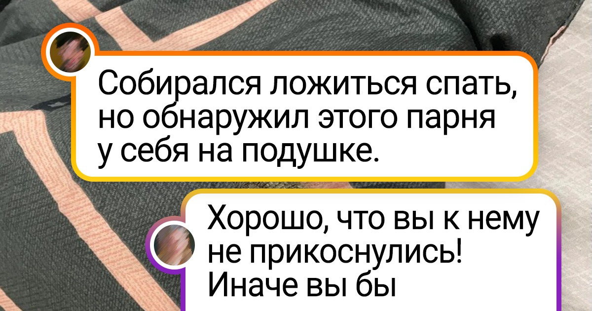 20 человек, которые, видимо, не хотели дружить с домовым, а теперь расплачиваются 20 человек, которые, видимо, не хотели дружить с домовым, а теперь расплачиваются