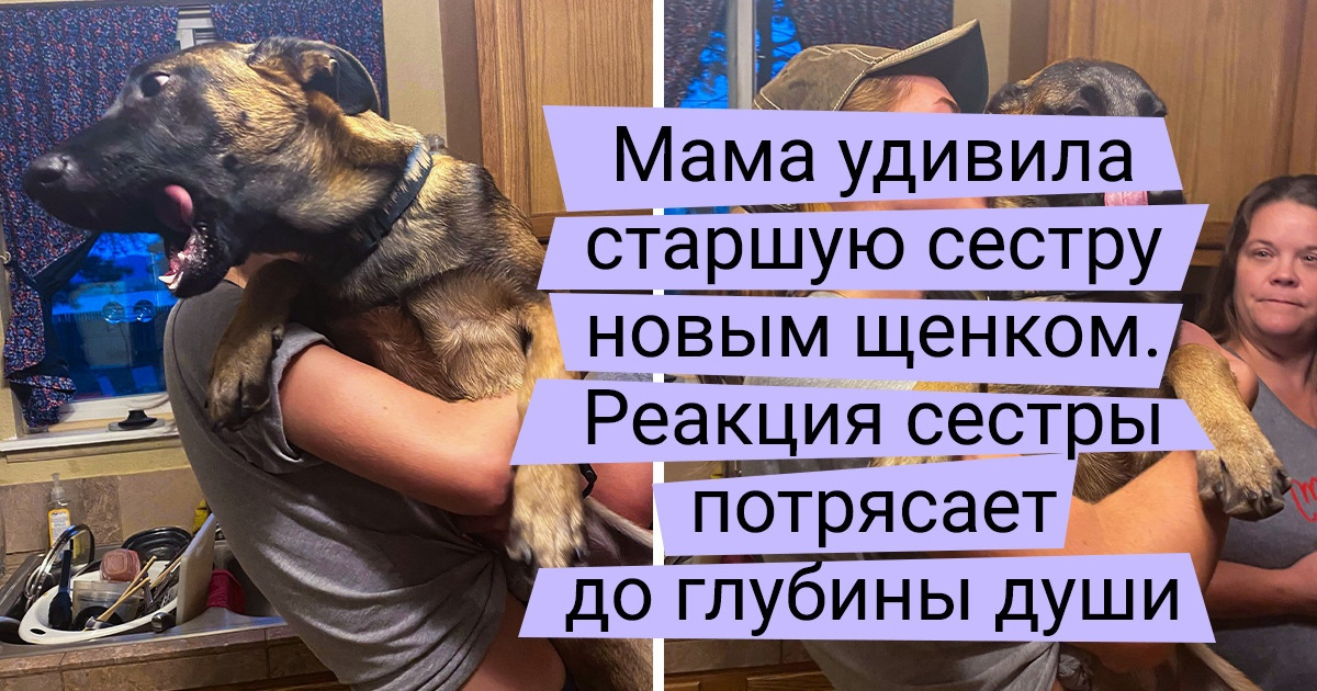 19 эмоциональных фотодоказательств того, что в семье без питомца никак не обойтись 19 эмоциональных фотодоказательств того, что в семье без питомца никак не обойтись