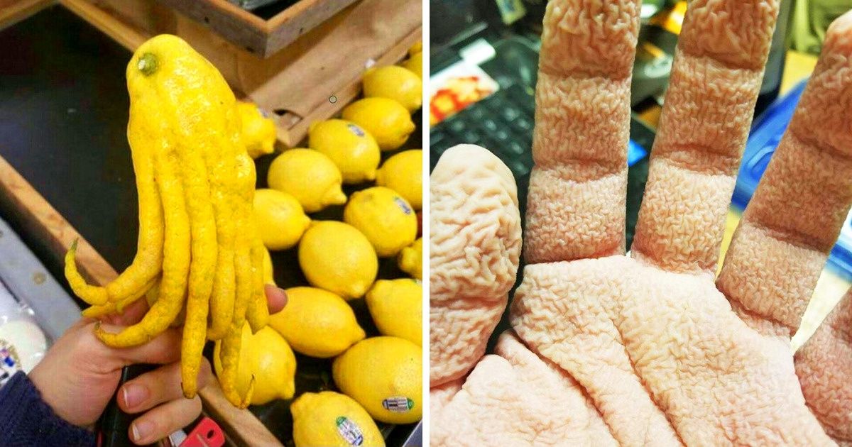 Фотографии, показывающие, что удивительное может быть совсем рядом