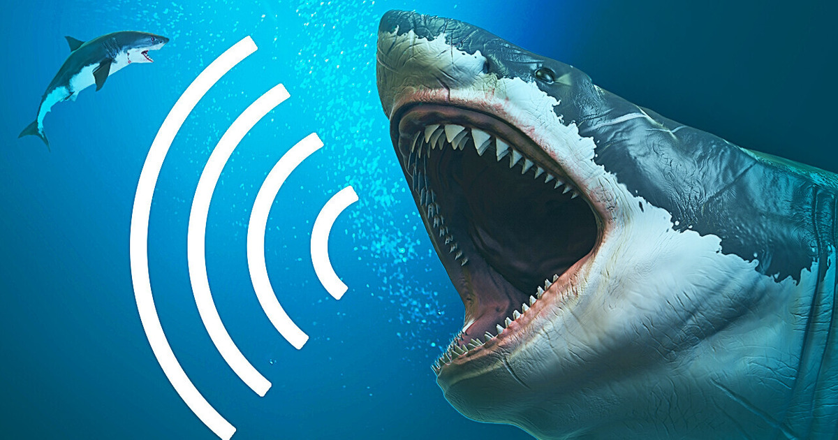 Как на самом деле звучали вымершие животные Как на самом деле звучали вымершие животные