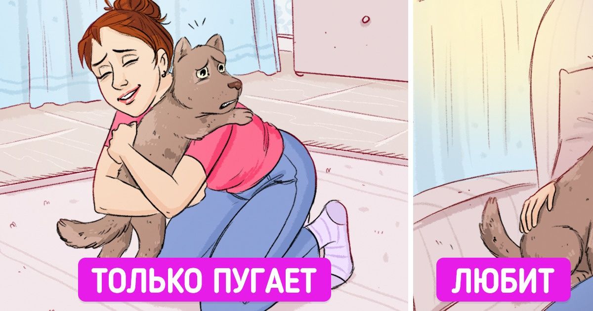 11 способов показать своему любимцу, что вы его обожаете. Вдруг он не в курсе 11 способов показать своему любимцу, что вы его обожаете. Вдруг он не в курсе
