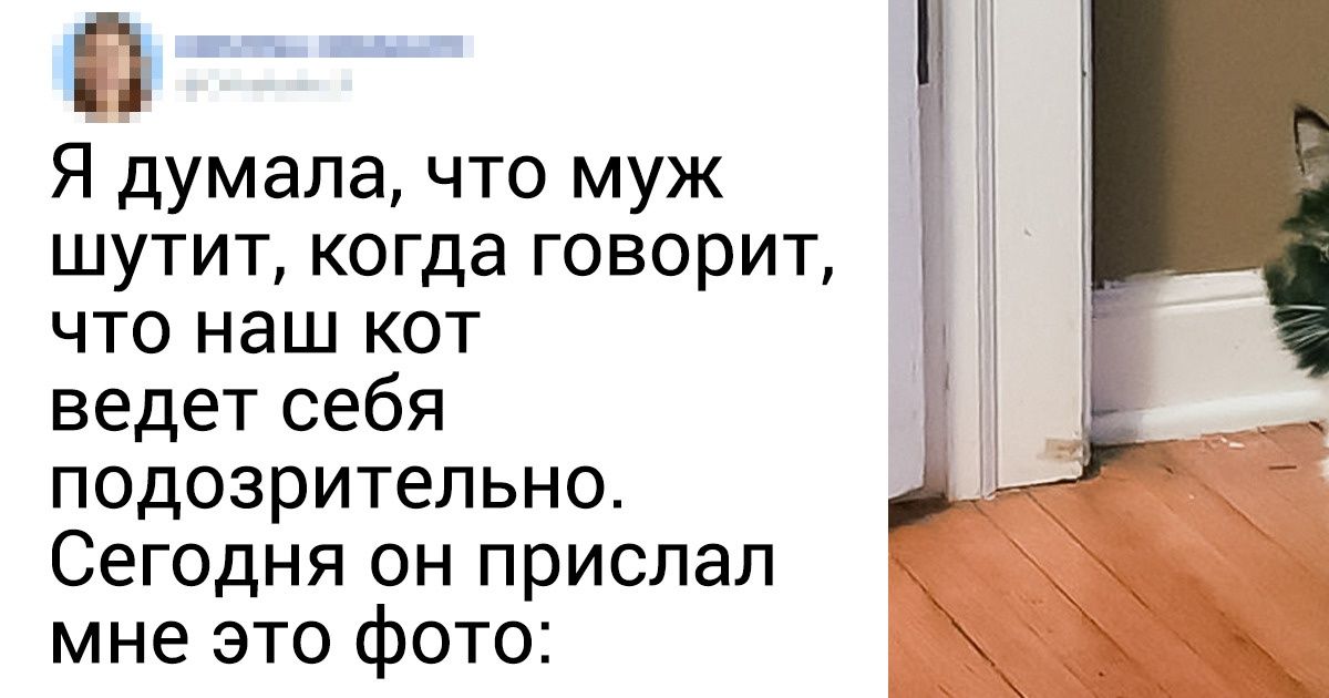 15 ярких доказательств того, что в семейной жизни скучно не бывает 15 ярких доказательств того, что в семейной жизни скучно не бывает
