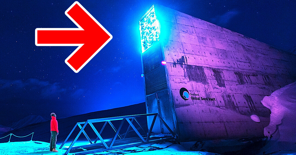 Это место скрывает то, что может спасти весь мир Это место скрывает то, что может спасти весь мир