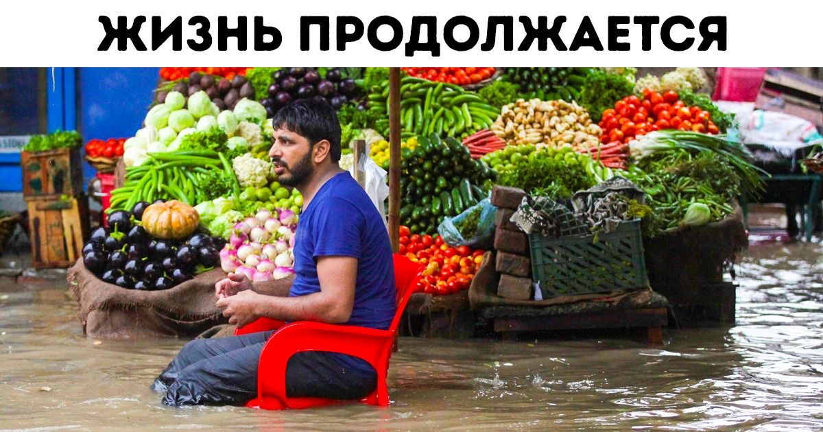 17 сильных фото, которые пробирают до глубины души 17 сильных фото, которые пробирают до глубины души