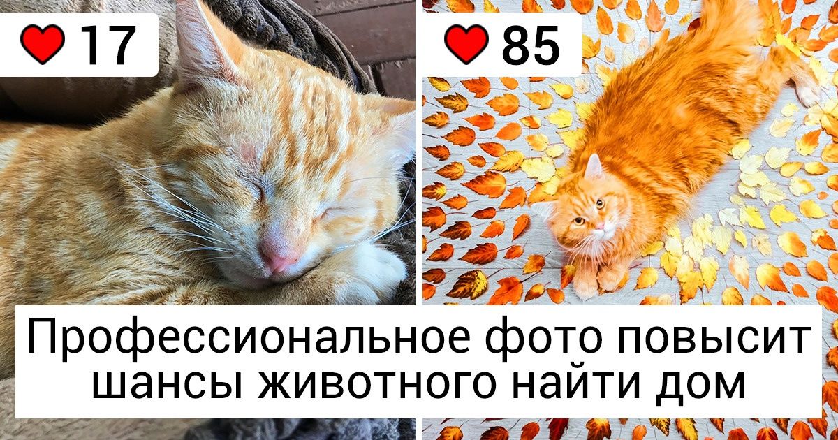 8 способов сделать мир лучше, не потратив много времени, денег и сил