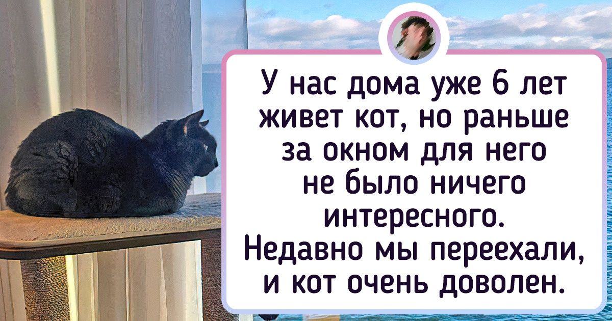20+ фантастических фотографий, которые люди сделали, не отходя от своего окна 20+ фантастических фотографий, которые люди сделали, не отходя от своего окна
