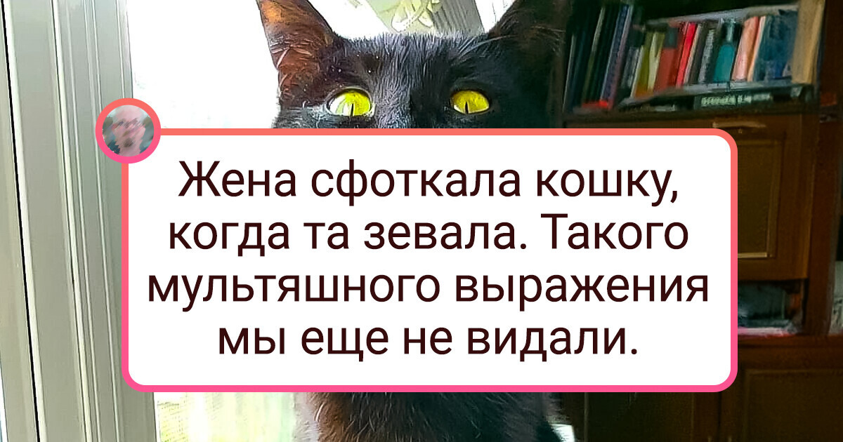 20+ фото, способных доказать, что у животных тоже есть эмоции 20+ фото, способных доказать, что у животных тоже есть эмоции