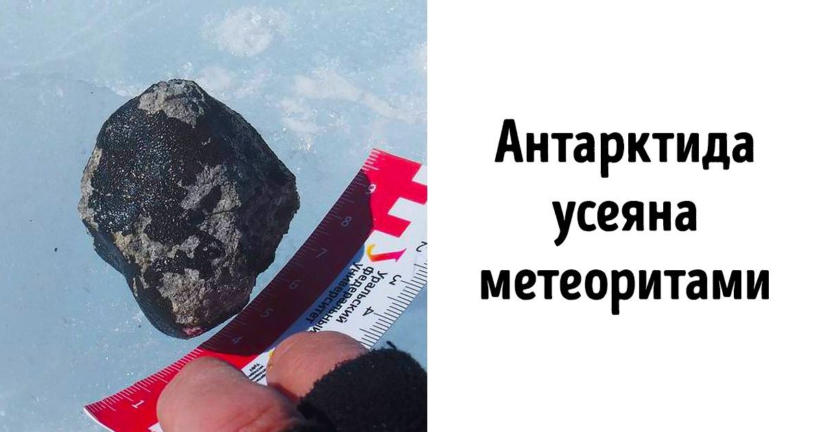 7 фактов об Антарктиде, которые обеспокоят даже полных пофигистов 7 фактов об Антарктиде, которые обеспокоят даже полных пофигистов