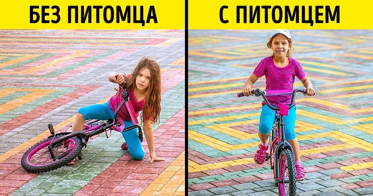 10 убедительных причин разрешить ребенку завести питомца 10 убедительных причин разрешить ребенку завести питомца