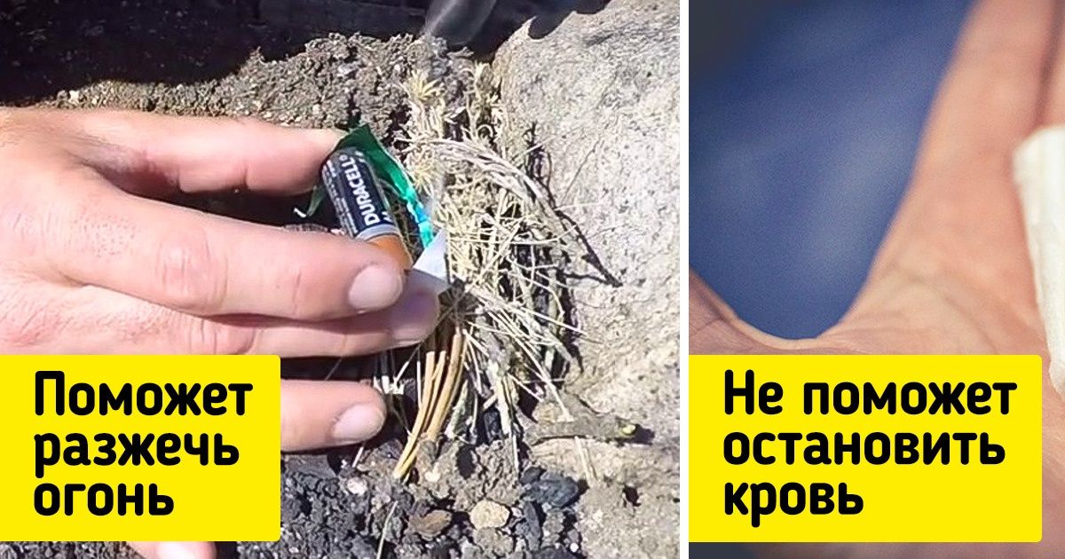 10 фактов, которые знают специалисты по выживанию в любых условиях