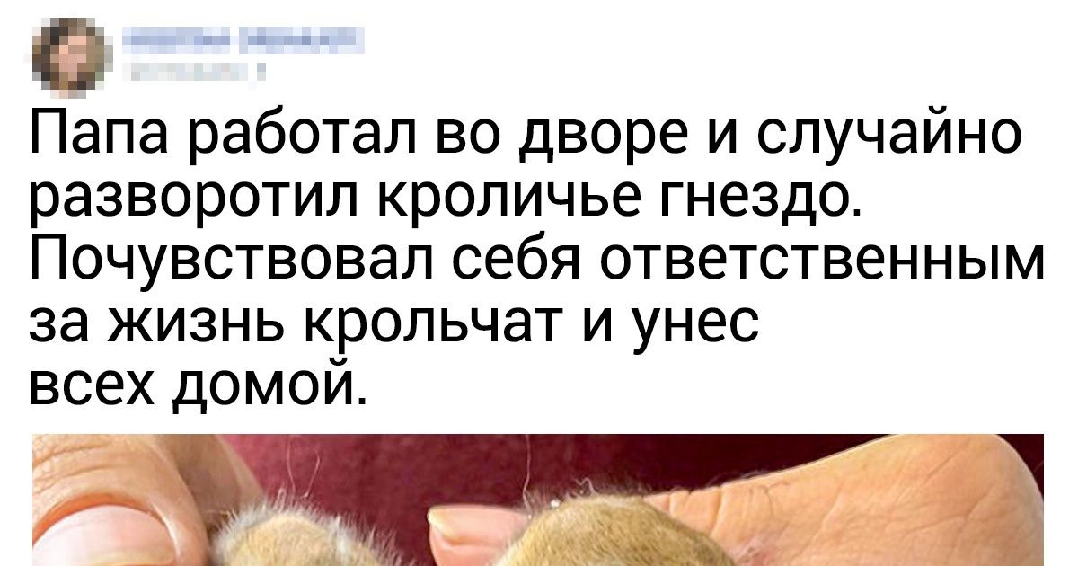 Существует точное человеческое наблюдение воздух мы замечаем когда его начинает не хватать 2 чтобы