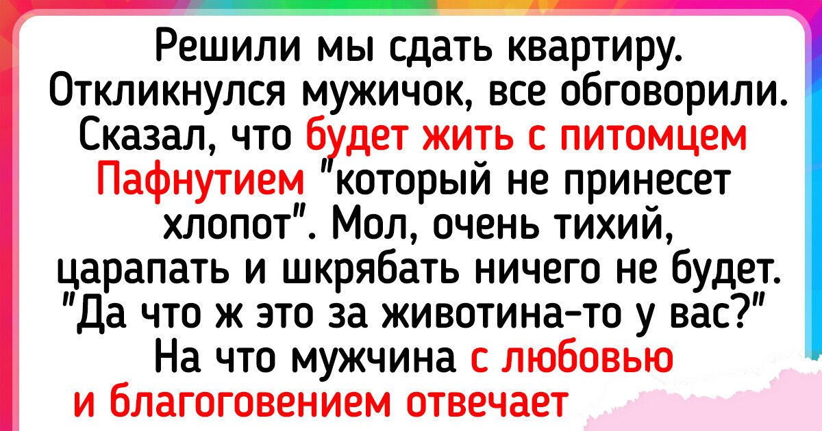 19 пушистых примеров того, что с питомцами жизнь может заиграть новыми красками 19 пушистых примеров того, что с питомцами жизнь может заиграть новыми красками