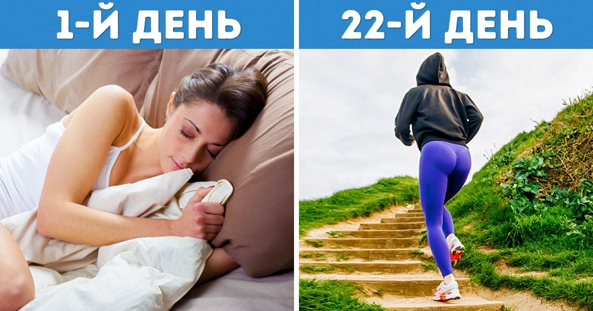 Мы узнали, как можно легко приобрести новые привычки и сколько на это потребуется времени Мы узнали, как можно легко приобрести новые привычки и сколько на это потребуется времени