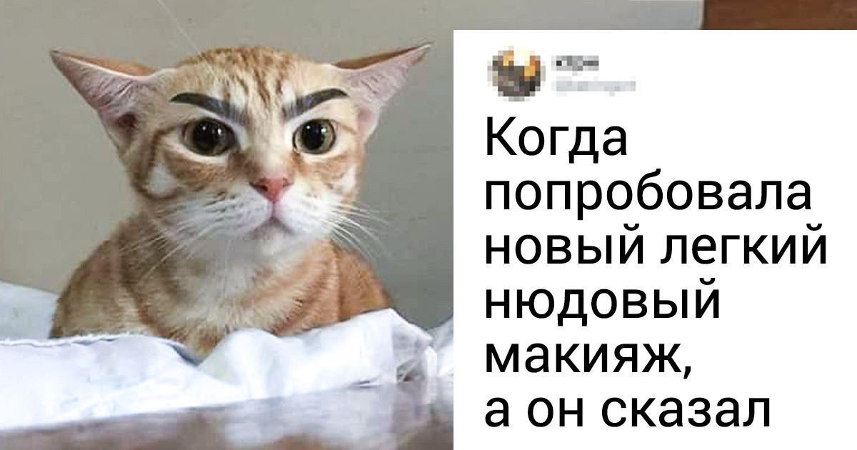 15 твитов о женских проблемах, которые можно решить, только рассмеявшись им в лицо