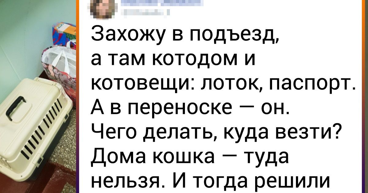 20 человек, которые стали для животных настоящими ангелами-хранителями