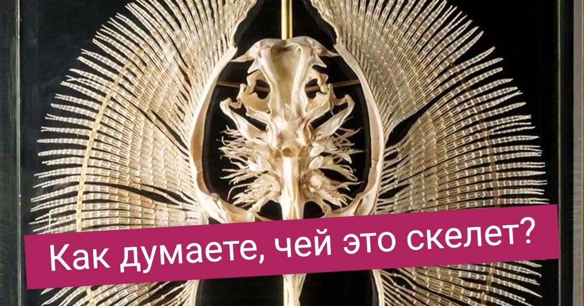 17 увлекательных фото, которые хочется переслать другу