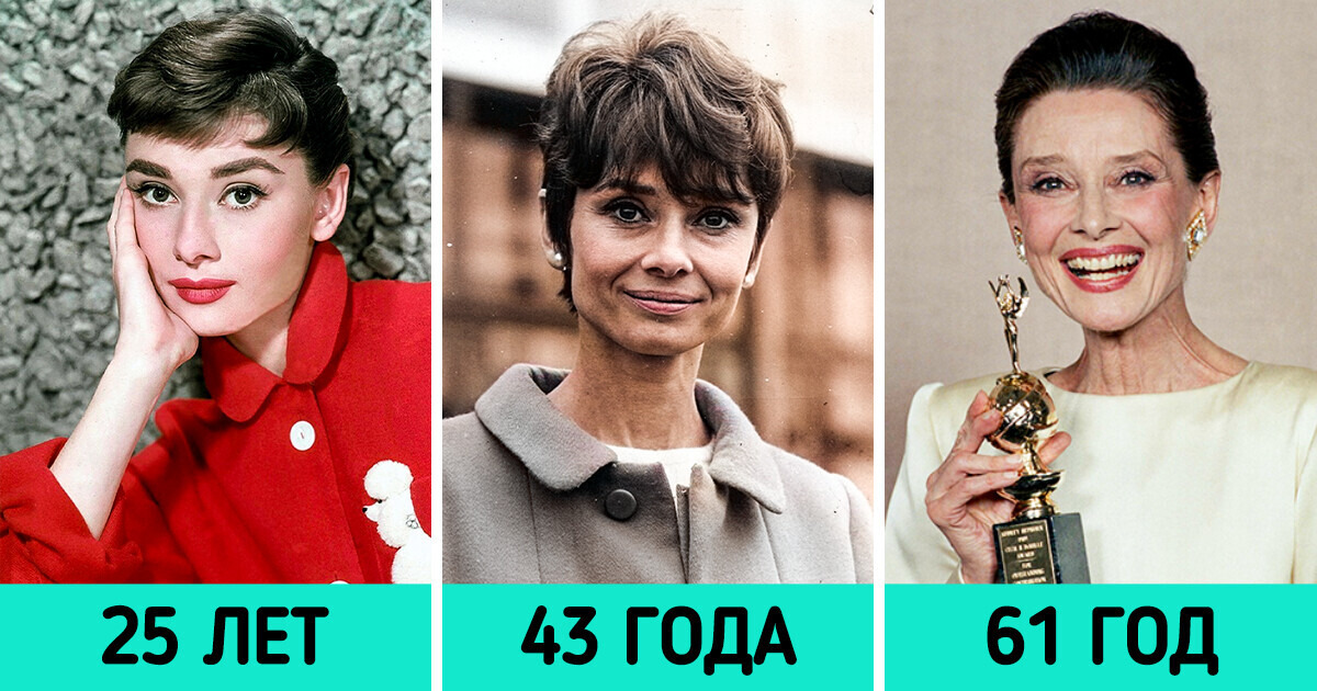 Посмотрите, как со временем менялась внешность 16 див классического кинематографа Посмотрите, как со временем менялась внешность 16 див классического кинематографа