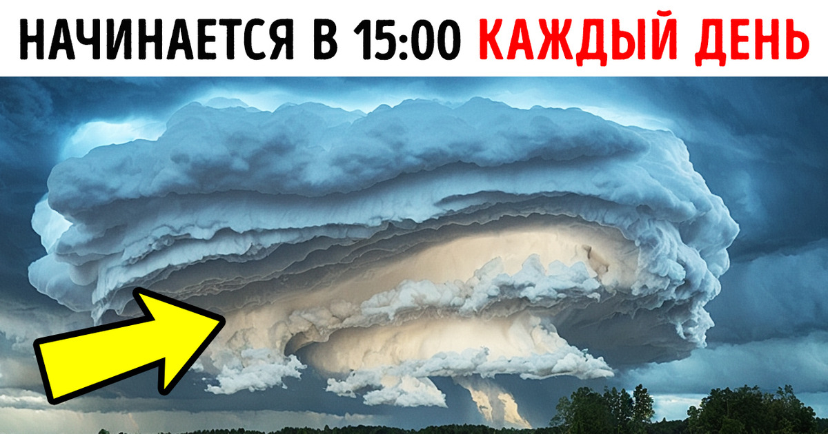 Вы можете проверять часы по этой грозовой туче Вы можете проверять часы по этой грозовой туче