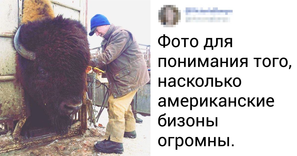20+ доказательств того, что некоторые вещи и явления лучше познаются в сравнении 20+ доказательств того, что некоторые вещи и явления лучше познаются в сравнении