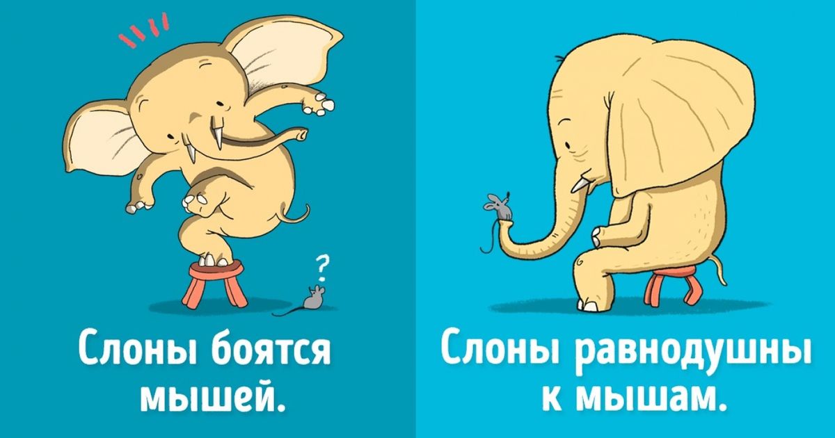 18 фактов о животных, которые оказались полным бредом 18 фактов о животных, которые оказались полным бредом