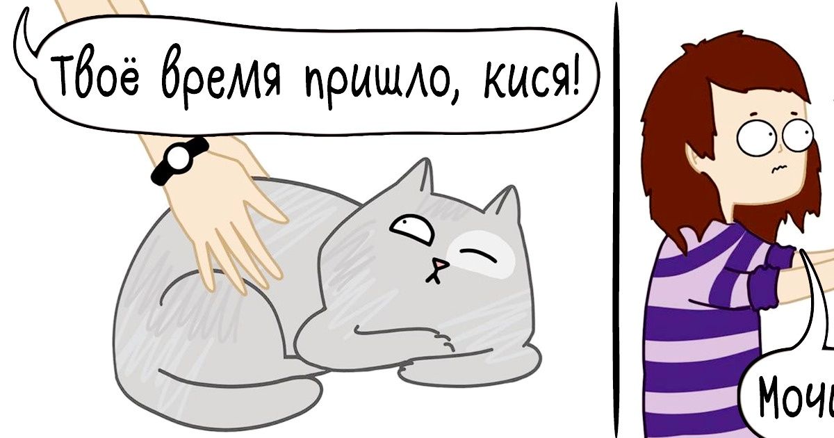 15 комиксов-анекдотов о непростой, но насыщенной жизни котиков и их хозяев 15 комиксов-анекдотов о непростой, но насыщенной жизни котиков и их хозяев
