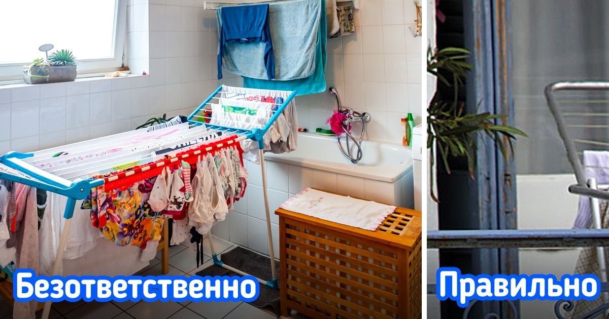 6 ошибок, из-за которых даже в безупречном доме вырастет токсичная плесень 6 ошибок, из-за которых даже в безупречном доме вырастет токсичная плесень