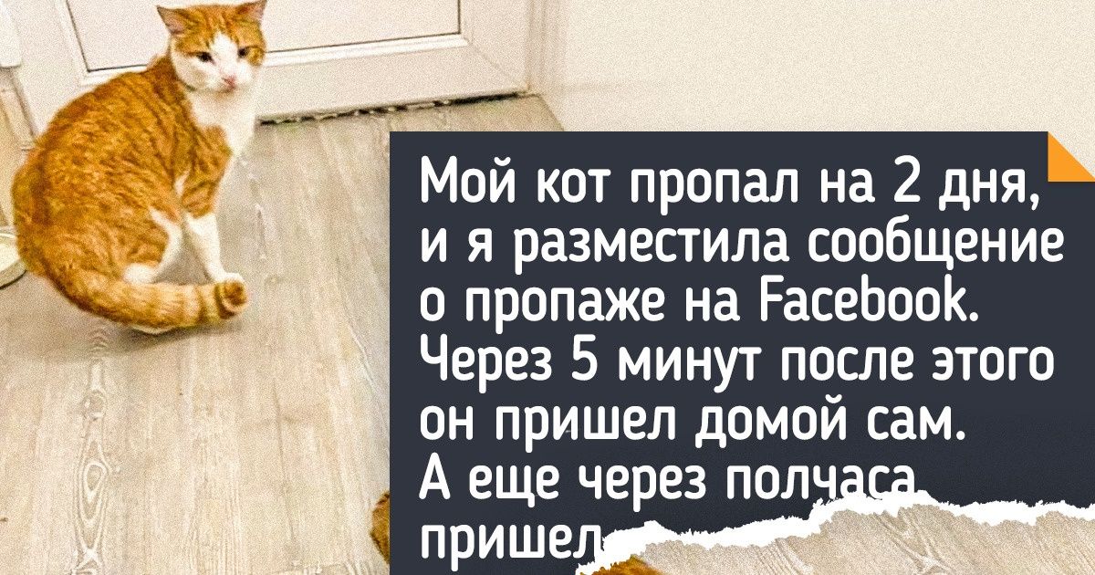 16 доказательств того, что животные могут подкинуть сюрприз там, где его не ждешь 16 доказательств того, что животные могут подкинуть сюрприз там, где его не ждешь