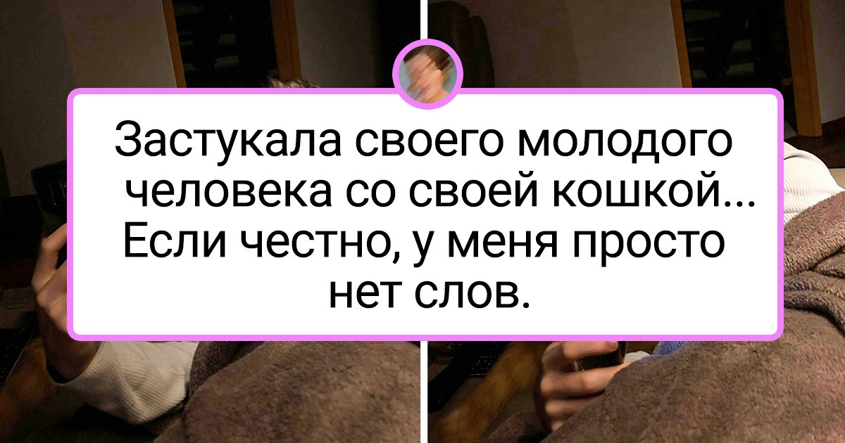 20+ девушек, которым остается только наблюдать, как кошки методично уводят у них парней 20+ девушек, которым остается только наблюдать, как кошки методично уводят у них парней