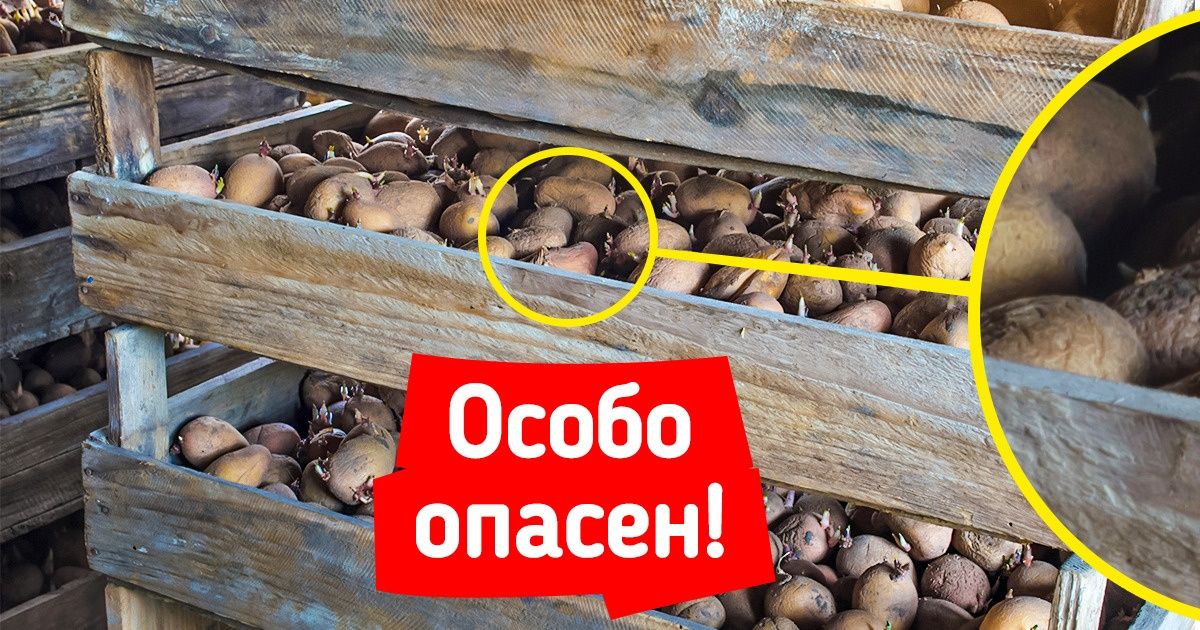 7 привычных вещей, которые могут быть опасны, а мы даже не подозреваем 7 привычных вещей, которые могут быть опасны, а мы даже не подозреваем