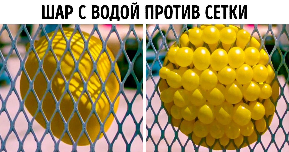 19 любопытных вещей, которые для многих станут полной неожиданностью 19 любопытных вещей, которые для многих станут полной неожиданностью