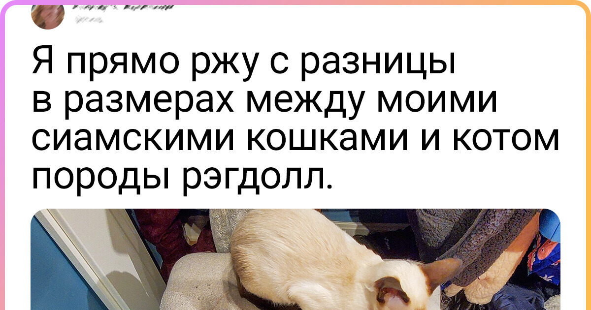 19 контрастных фото, которые покажут, что размер познается в сравнении 19 контрастных фото, которые покажут, что размер познается в сравнении