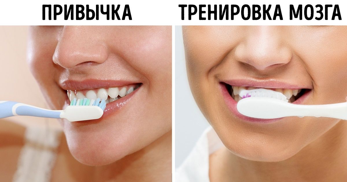 10 советов биохакеров, которые легко применять каждый день, чтобы улучшить работу мозга 10 советов биохакеров, которые легко применять каждый день, чтобы улучшить работу мозга