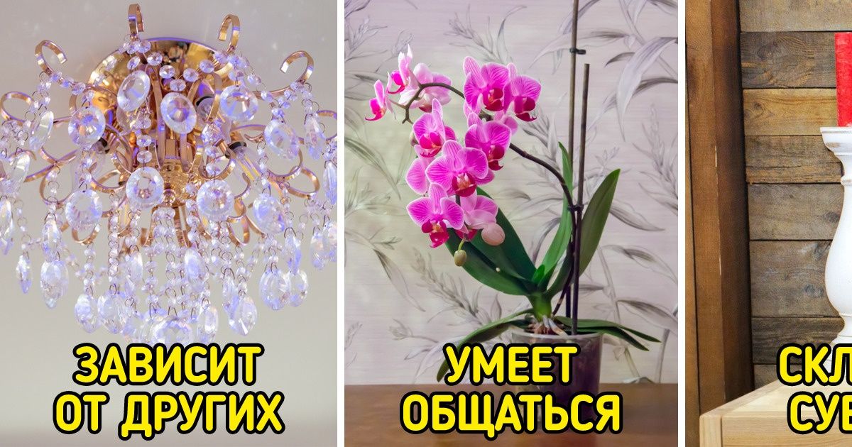 11 особенностей домов, которые говорят о хозяине красноречивее психологических тестов 11 особенностей домов, которые говорят о хозяине красноречивее психологических тестов