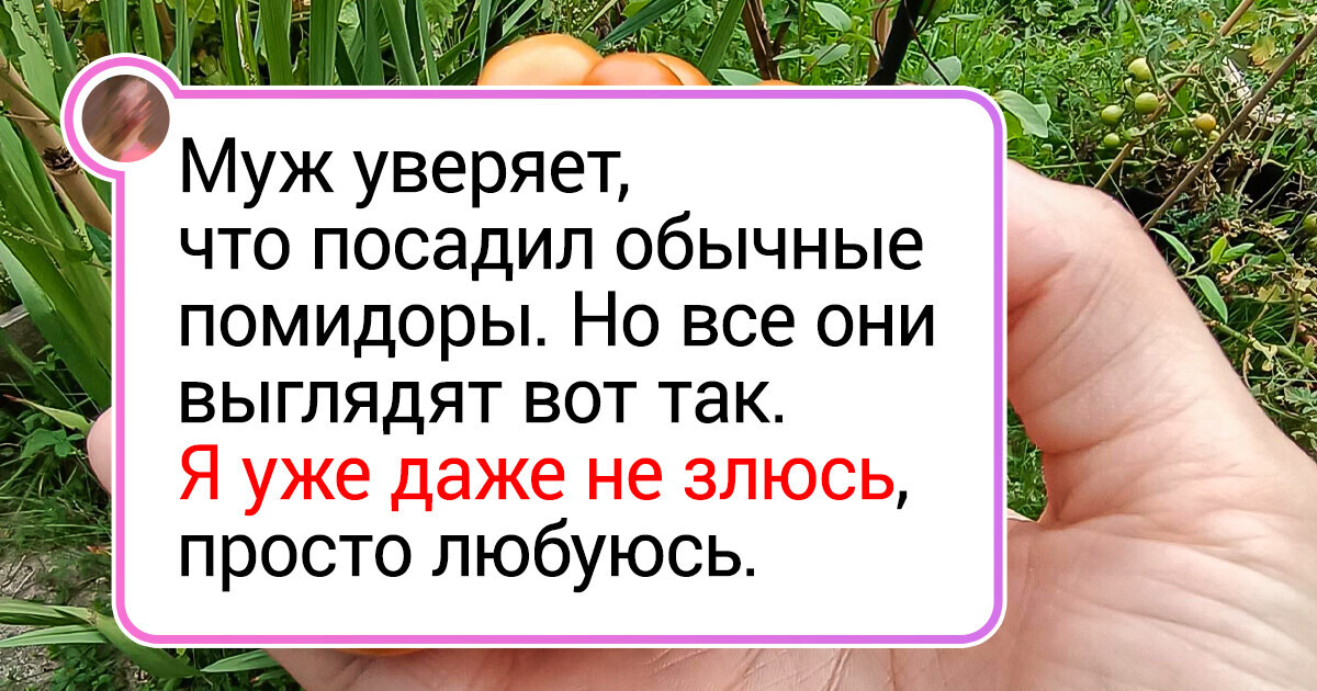 20+ садоводов, которые такое вырастили, что хоть стой, хоть падай, хоть «Караул!» кричи 20+ садоводов, которые такое вырастили, что хоть стой, хоть падай, хоть «Караул!» кричи