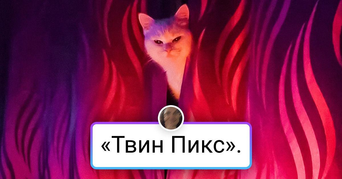 15+ животных, которые могли бы построить карьеру фотомоделей, если бы это их интересовало