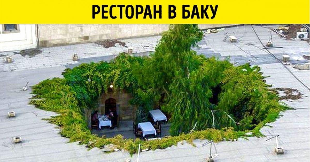 12 ресторанов, в которых еда — это не главное 12 ресторанов, в которых еда — это не главное