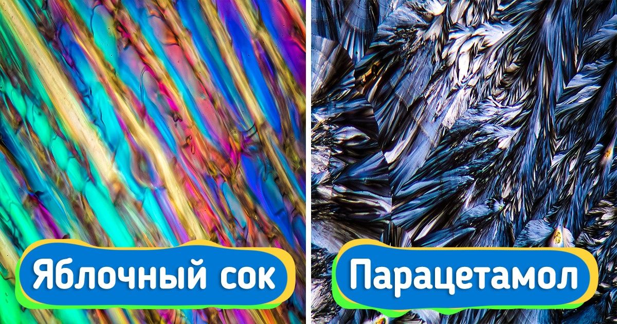 20 впечатляющих фотографий, которые сделали научные фотографы